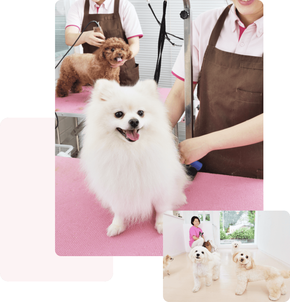 池尻大橋での実績30年 ワールドワンのケア風景