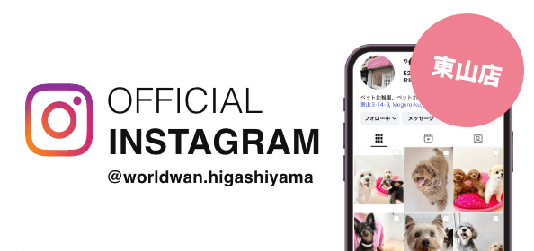 公式インスタグラムバナー