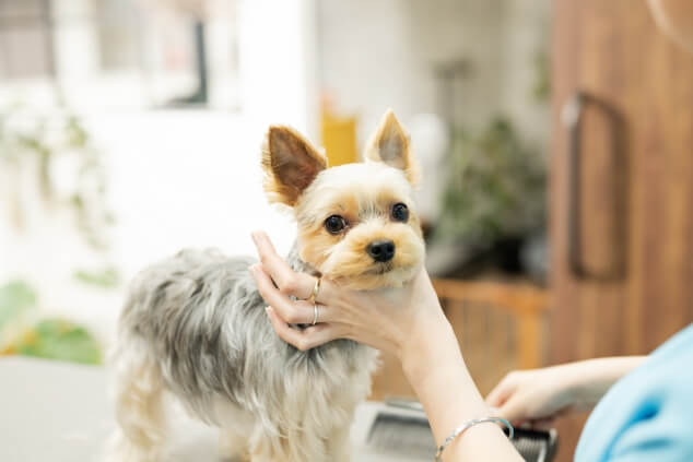 カウンセリング